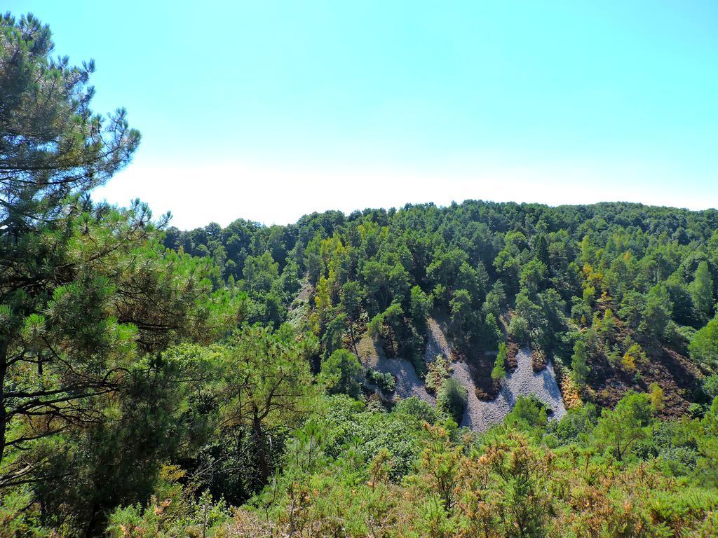 Gite Le Bourgneuf Fresnay-sur-Sarthe Екстериор снимка