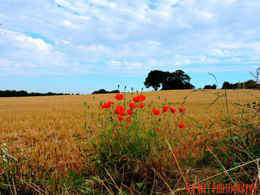 Gite Le Bourgneuf Fresnay-sur-Sarthe Екстериор снимка