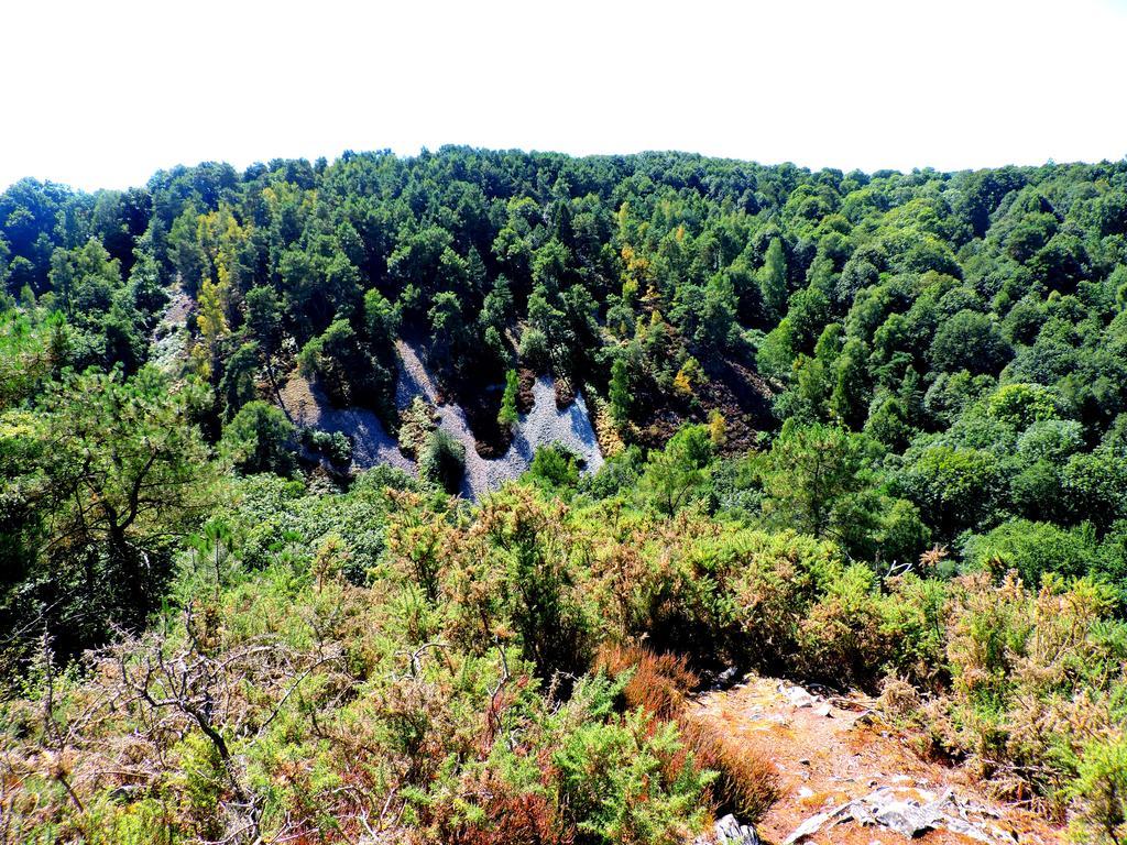 Gite Le Bourgneuf Fresnay-sur-Sarthe Екстериор снимка